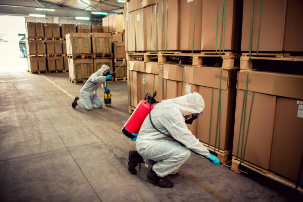 Best Emergency Pest Control  in Cobb Island, MD